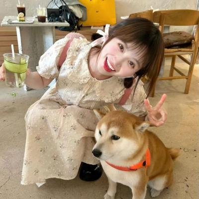他来自江湖粤语